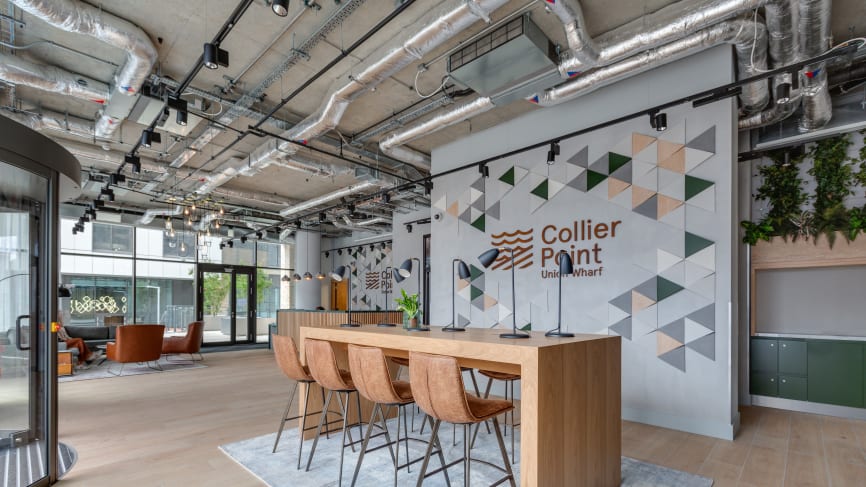 Professional Landlord