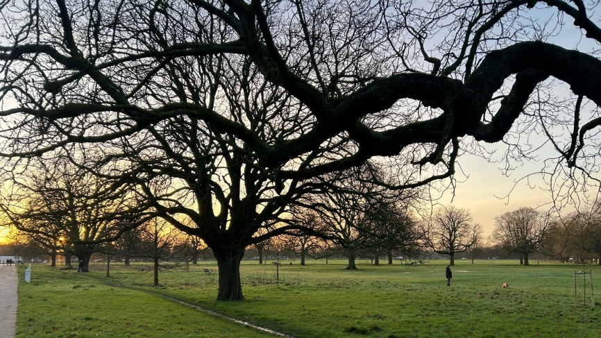 Ealing Common