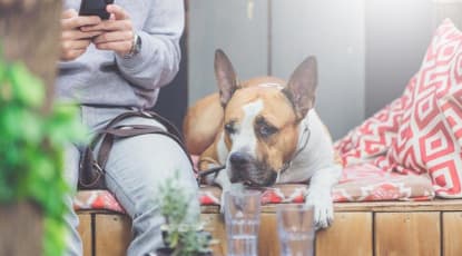 Islington Reccomendations