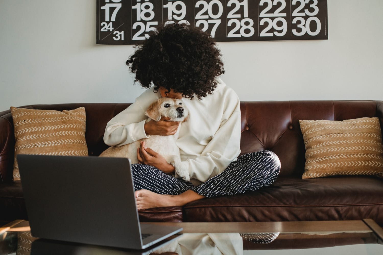 Person with dog and laptop