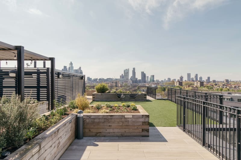 Dressage Court Roof Terrace