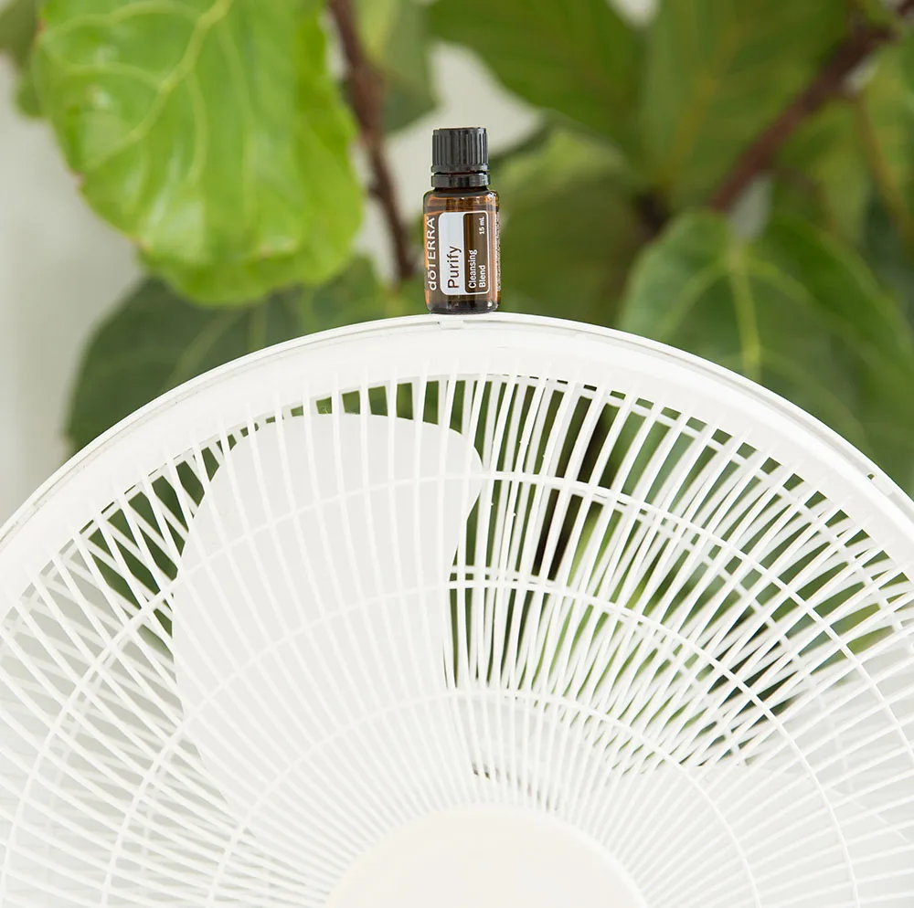 doTERRA Purify Essential Oil 3 doTERRA Purify Essential Oil