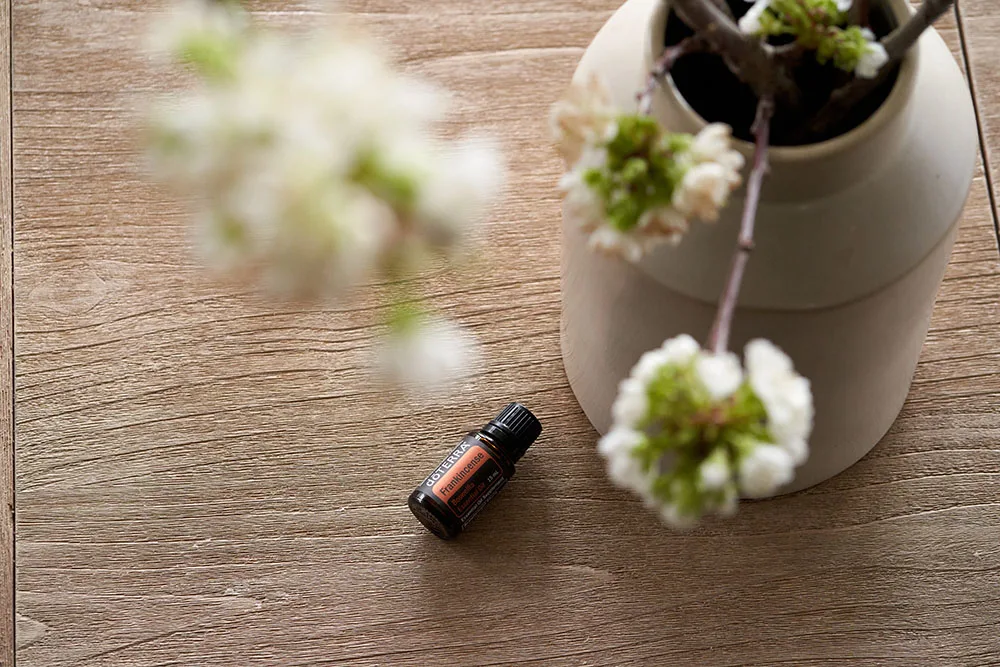doTERRA Frankincense Essential Oil 2 doTERRA Frankincense Essential Oil
