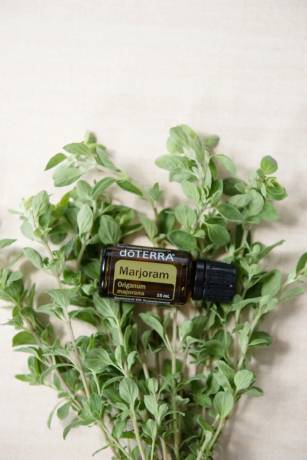 doTERRA Marjoram Essential Oil 2 doTERRA Marjoram Essential Oil