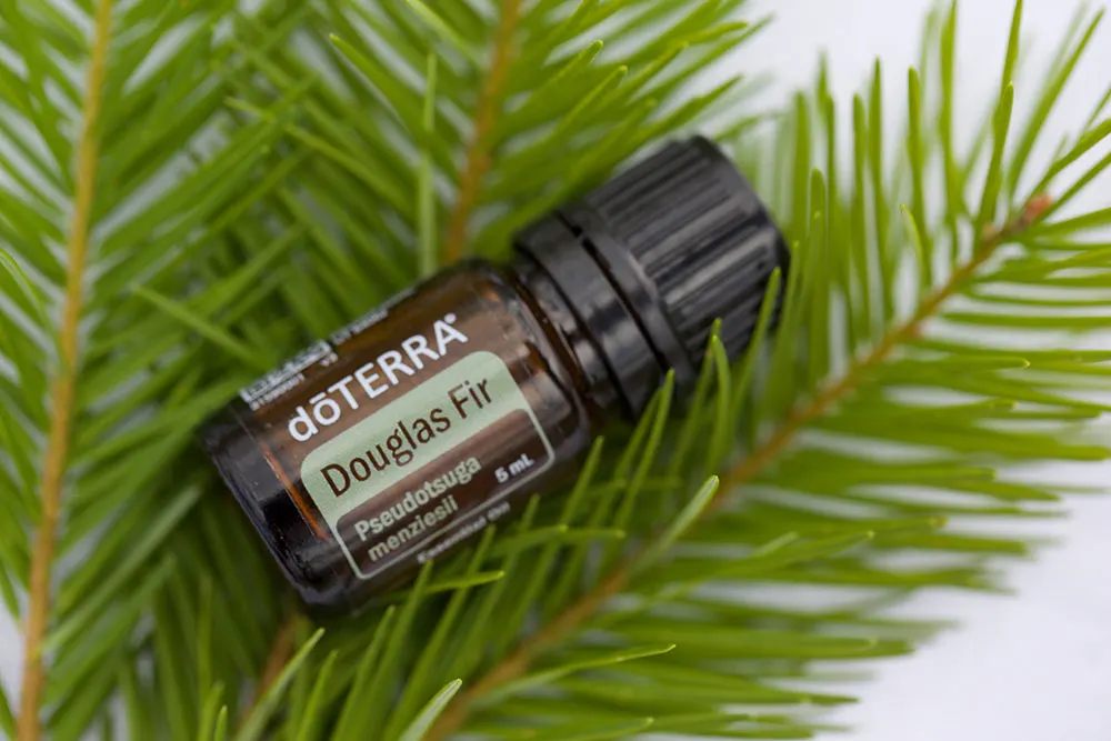 doTERRA Douglas Fir Essential Oil 4 doTERRA Douglas Fir Essential Oil