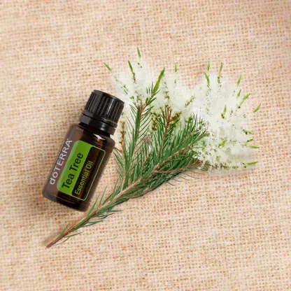 doTERRA Tea Tree Essential Oil