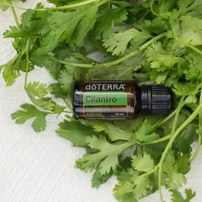 doTERRA Cilantro Essential Oil