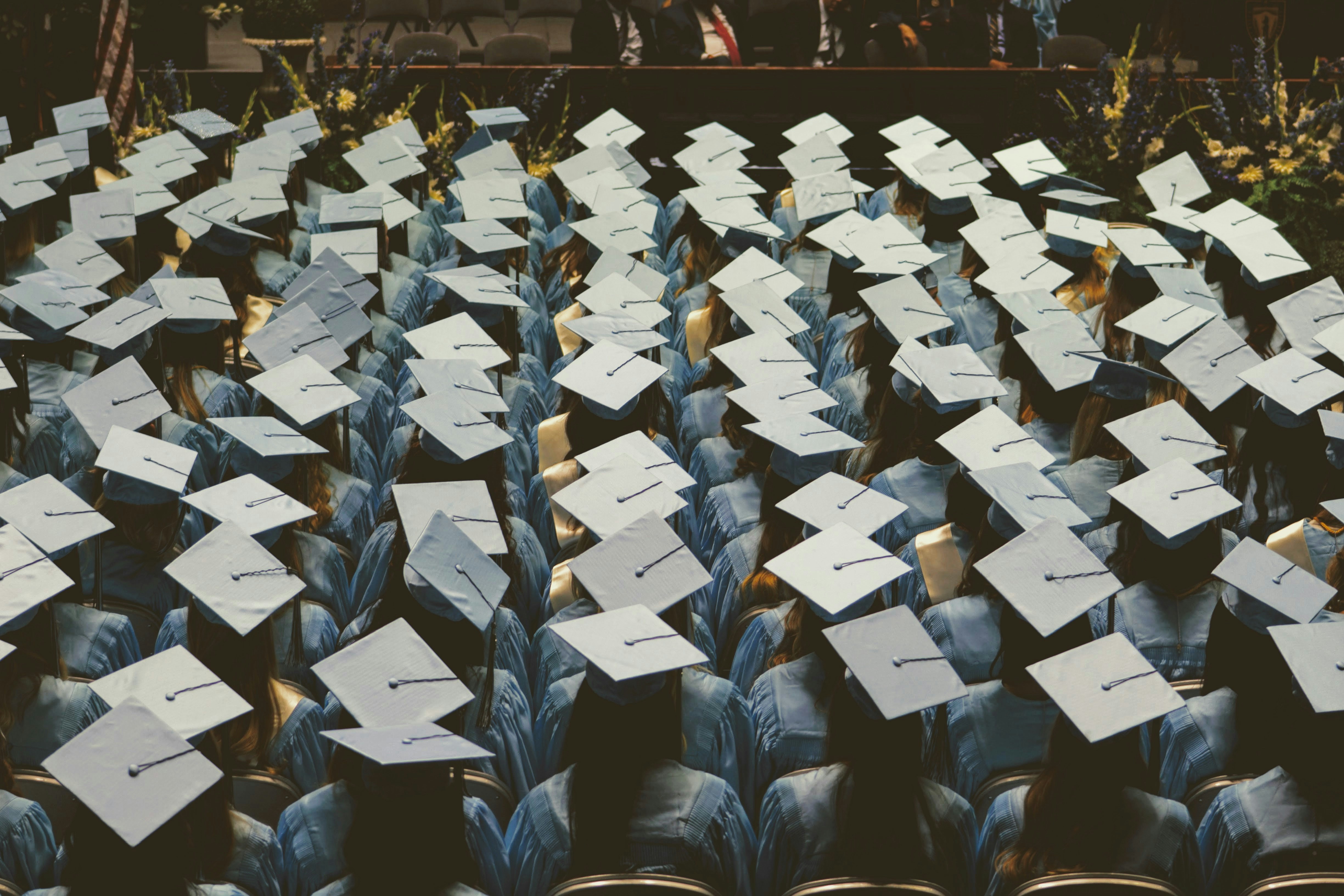 https://res.cloudinary.com/esspa-sites/image/upload/v1774867693/wil-australia/joshua_hoehne_igg_W_Dx_HTAUQ_unsplash_e781eab679.jpg