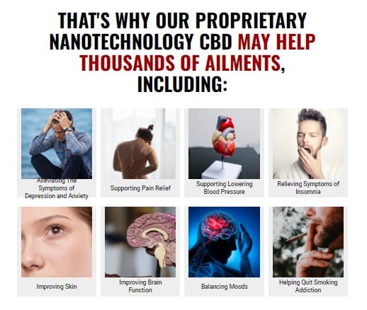 Wholeleaf Cbd Oil image