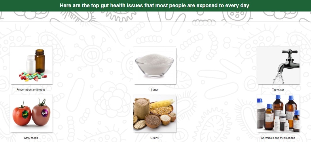 Aktiv Formulations daily probiotic
