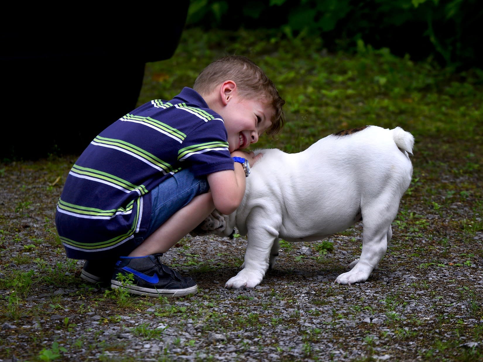 Inseparable Bond Between Baby And Bulldog With Same Birthday