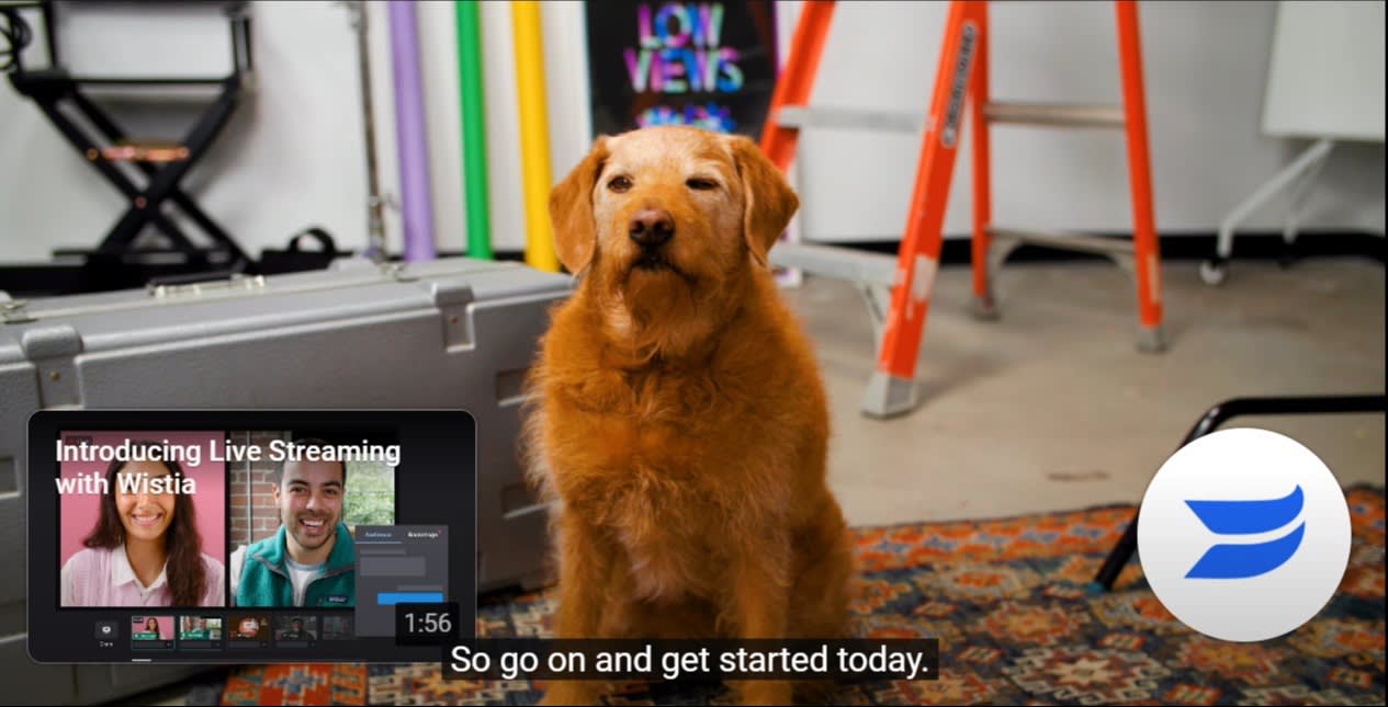 Video preview