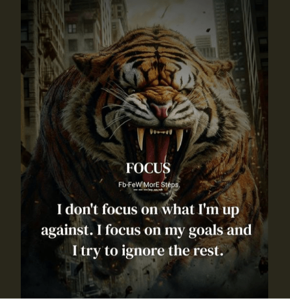 May 5th Focus