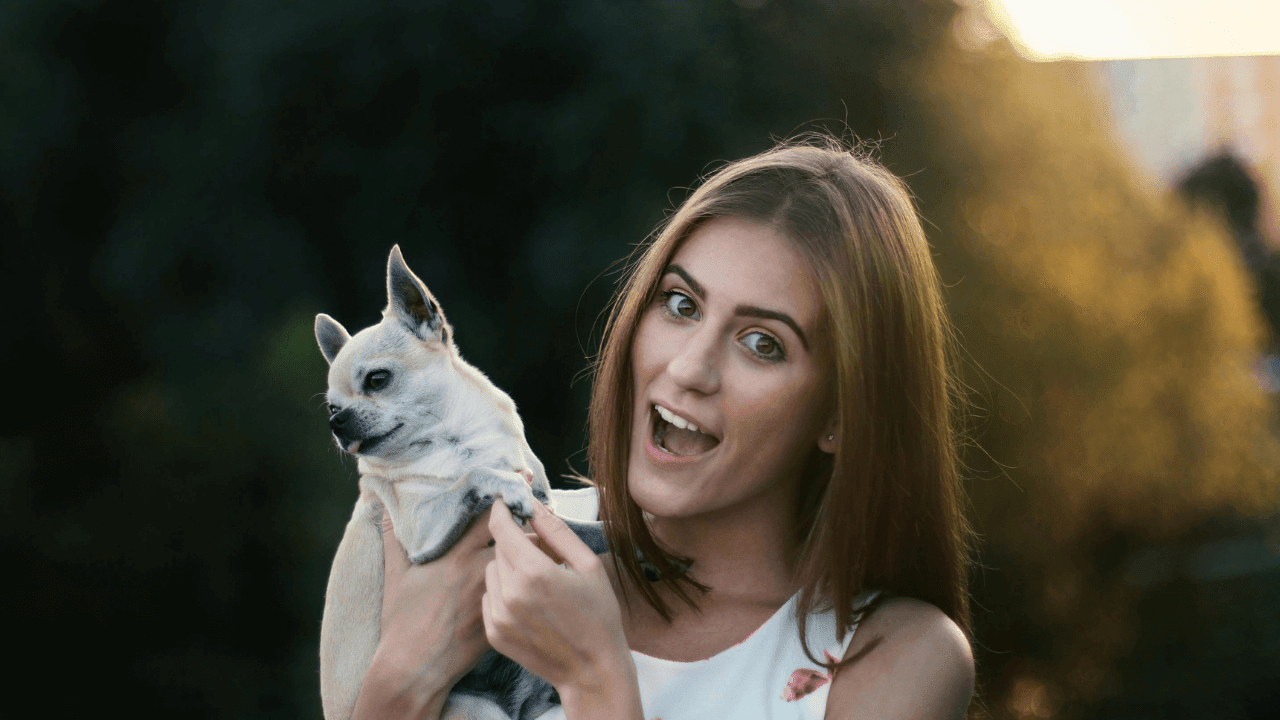 Pets