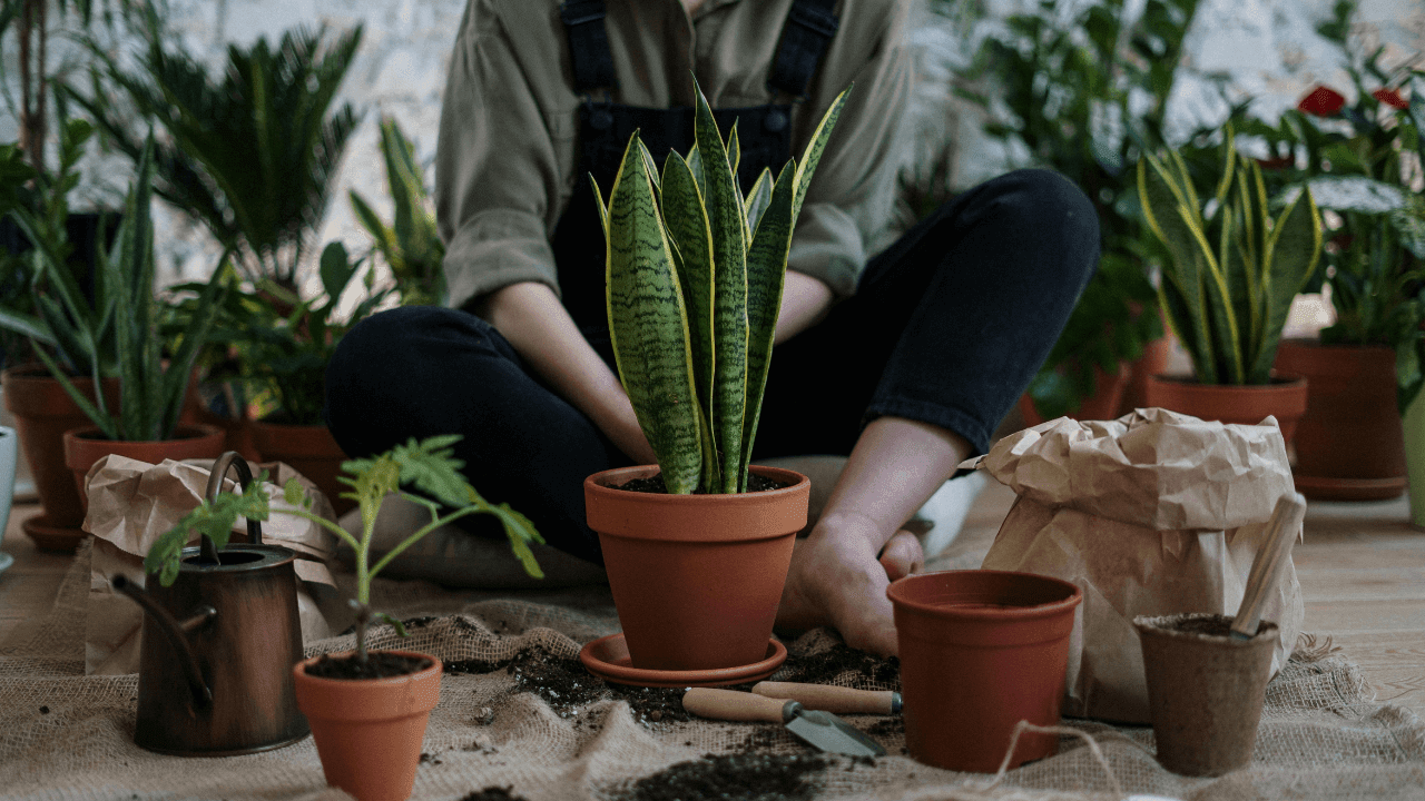 Gardening