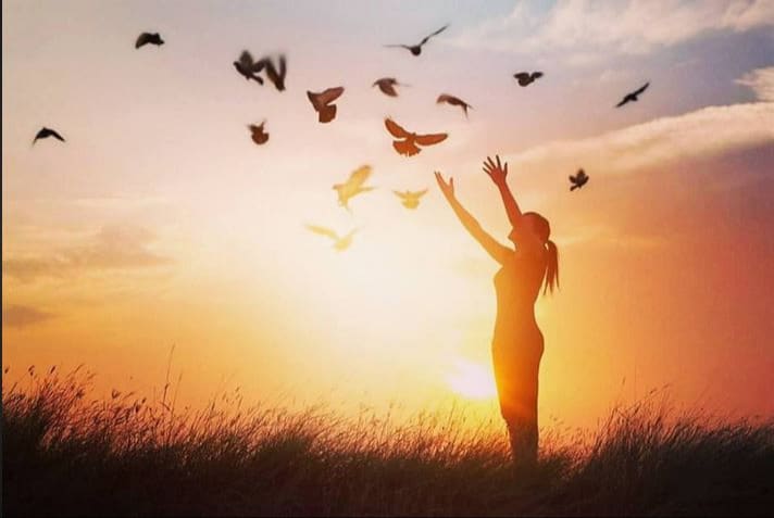 A Life of Freedom