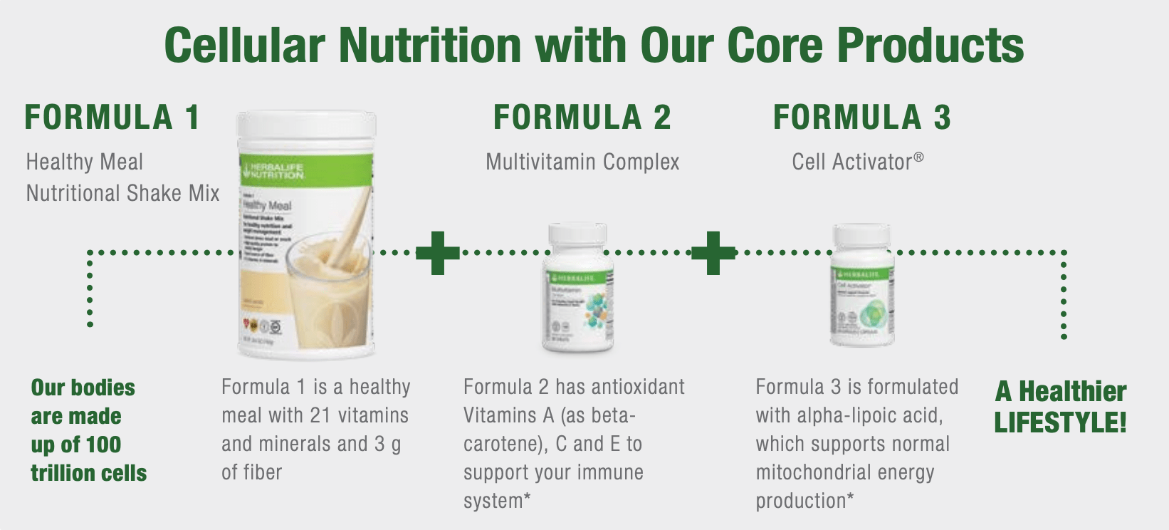 cellular nutrition