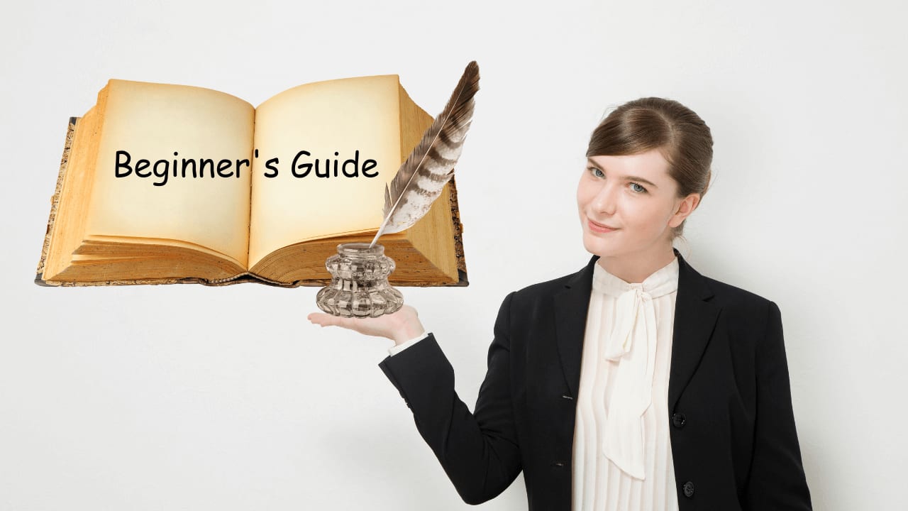 Beginner's Guide