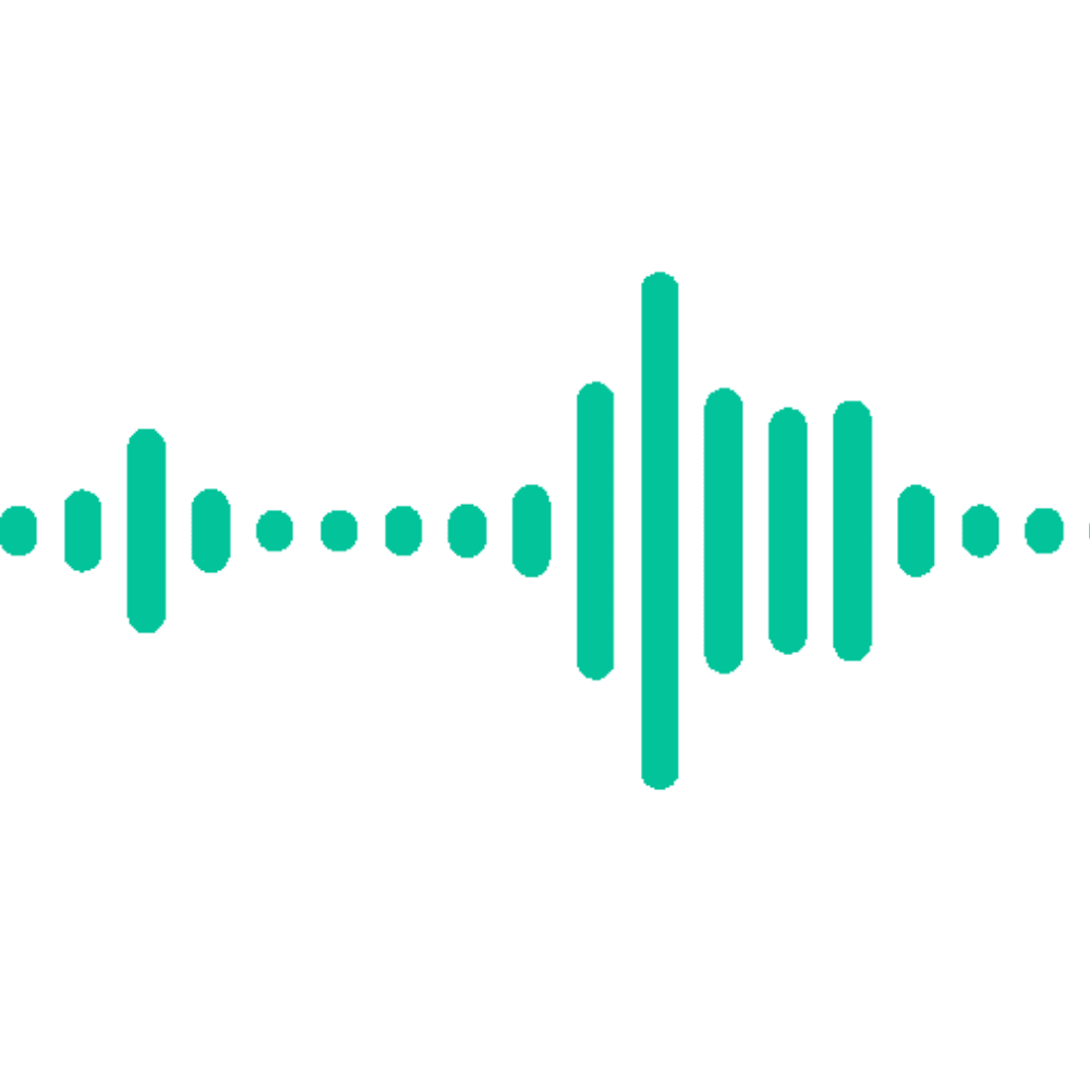 voicebot visuall
