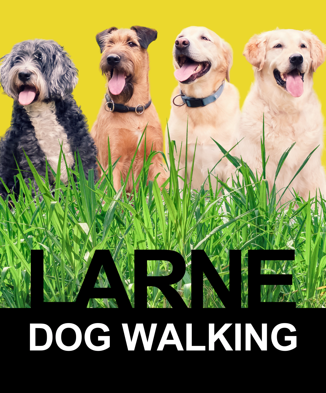 Lare Dog Walking Community Hub (Your Story) (2)