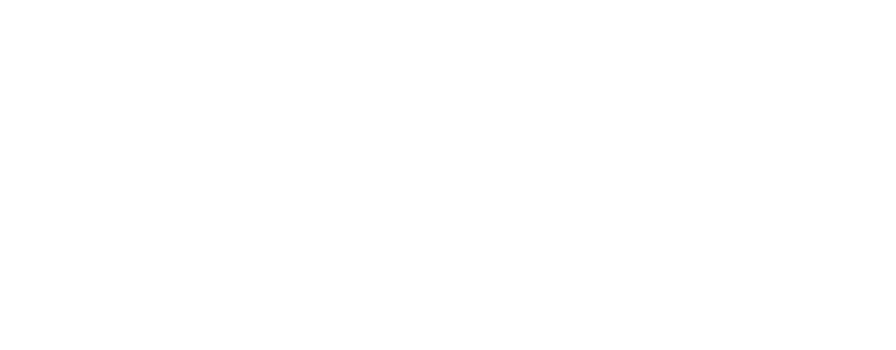 White logo - no background (2)