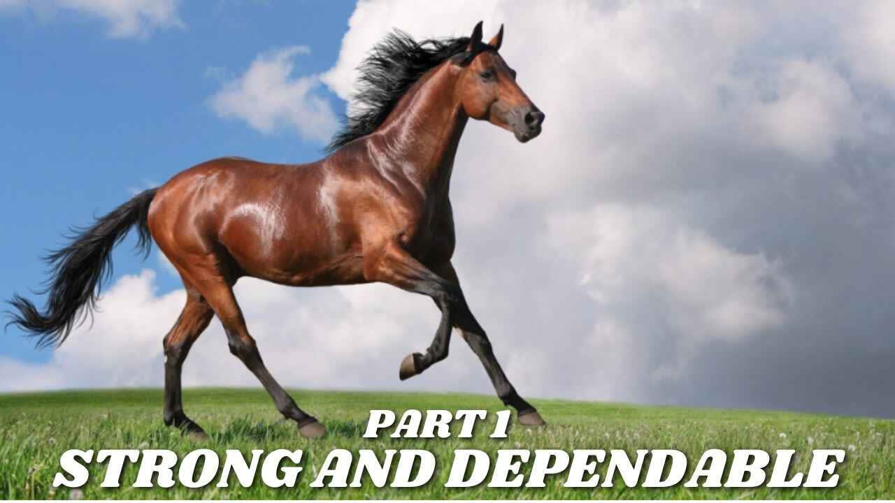Strong and dependable 1
