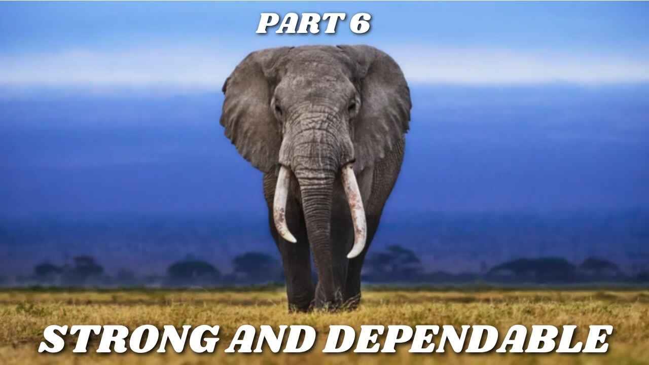 Post Thumbnail