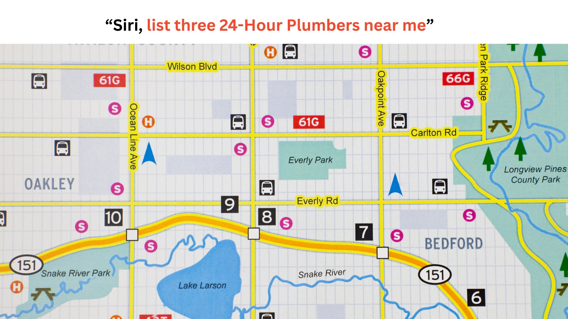local google map depicting voice responsive ads