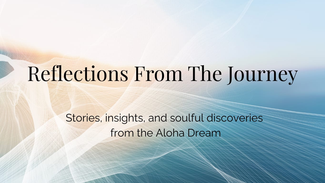 Reflections From The Journey