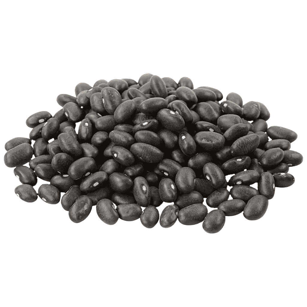 Alubia negra Alubia negra