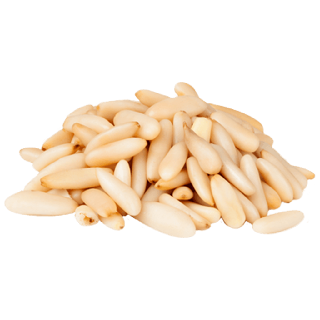 Piñón Piñón