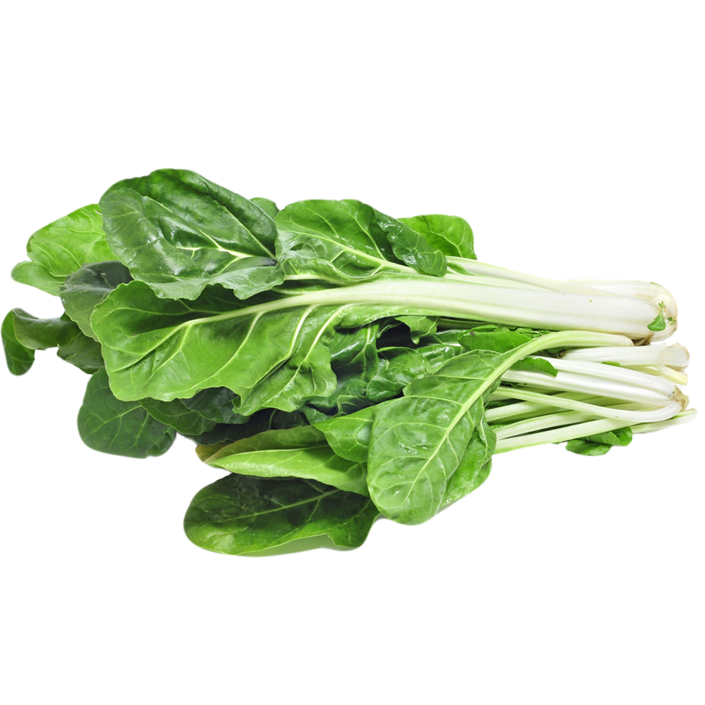 Acelga Acelga