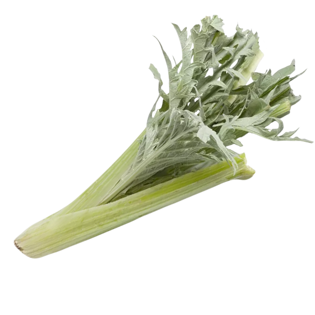 Cardo Cardo
