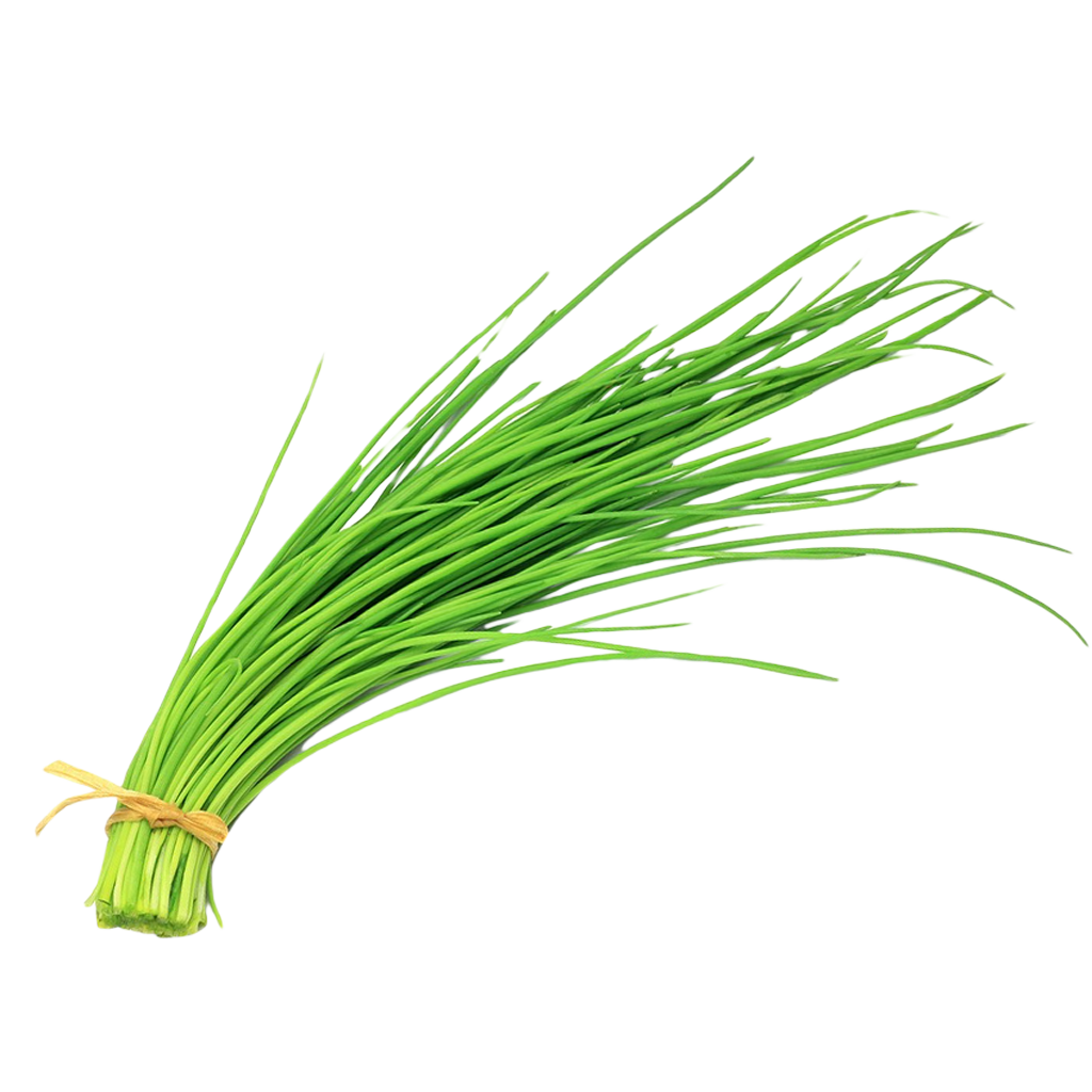 Cebollino Cebollino