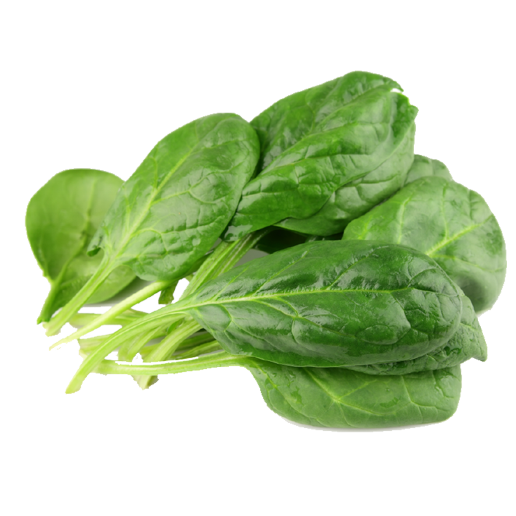 Espinaca Espinaca