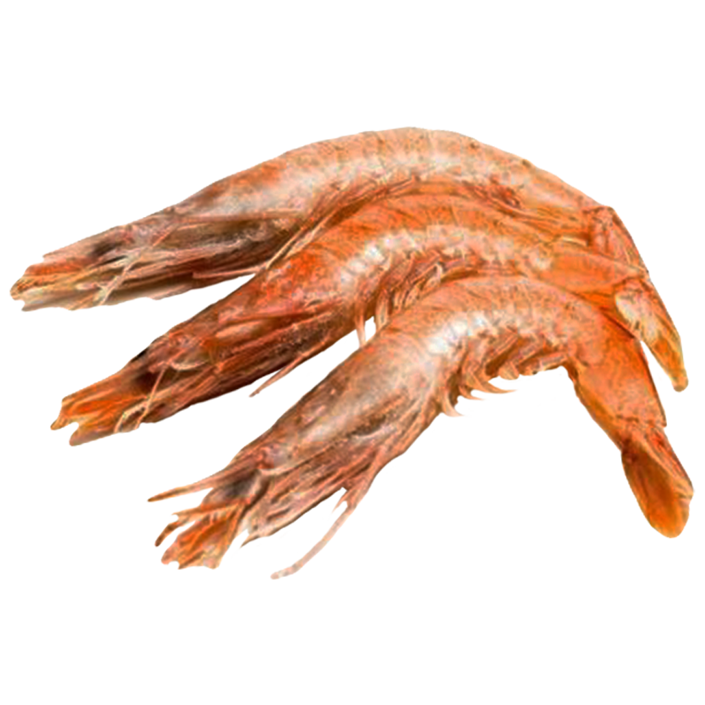 Gamba Gamba