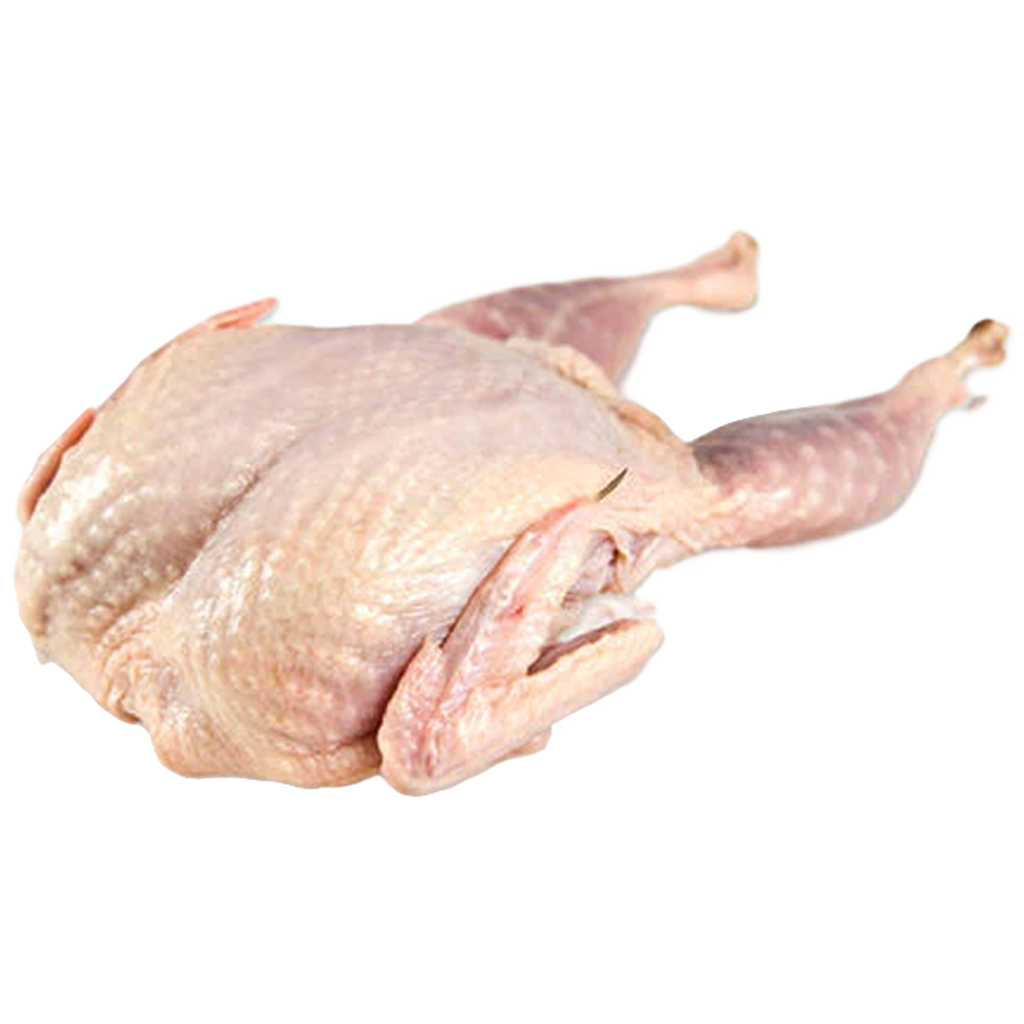 Codorniz Codorniz