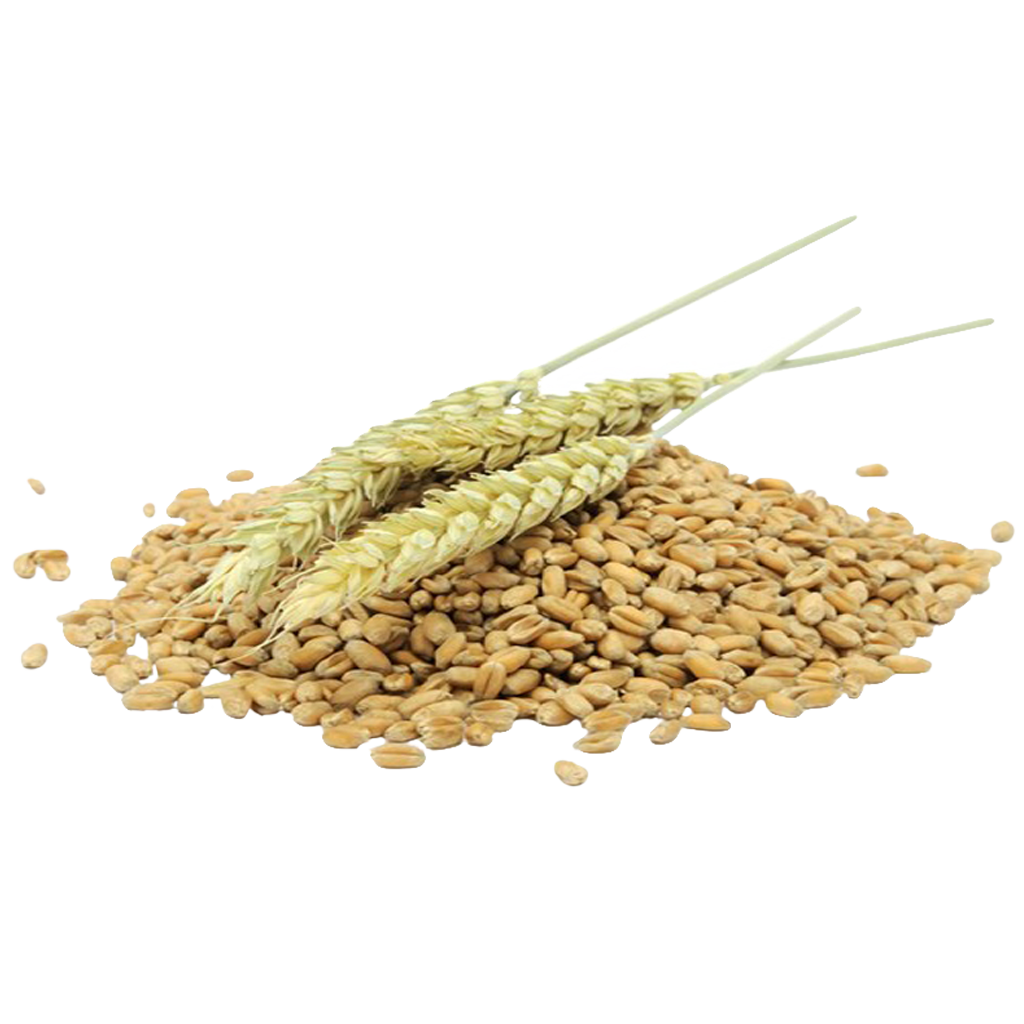 Bulgur Bulgur