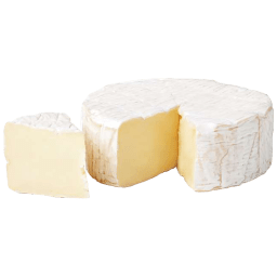 Queso Camembert