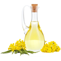 Aceite de colza