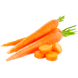 Zanahoria