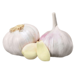 Ajo