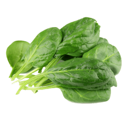 Espinaca