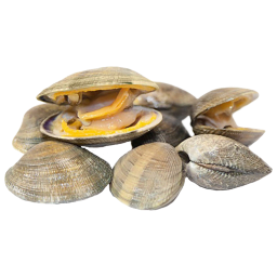 Almeja