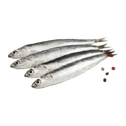 Boquerón