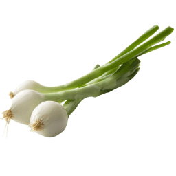 Cebolleta