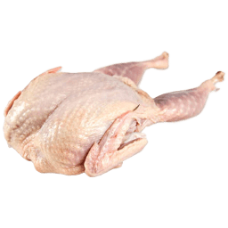 Codorniz