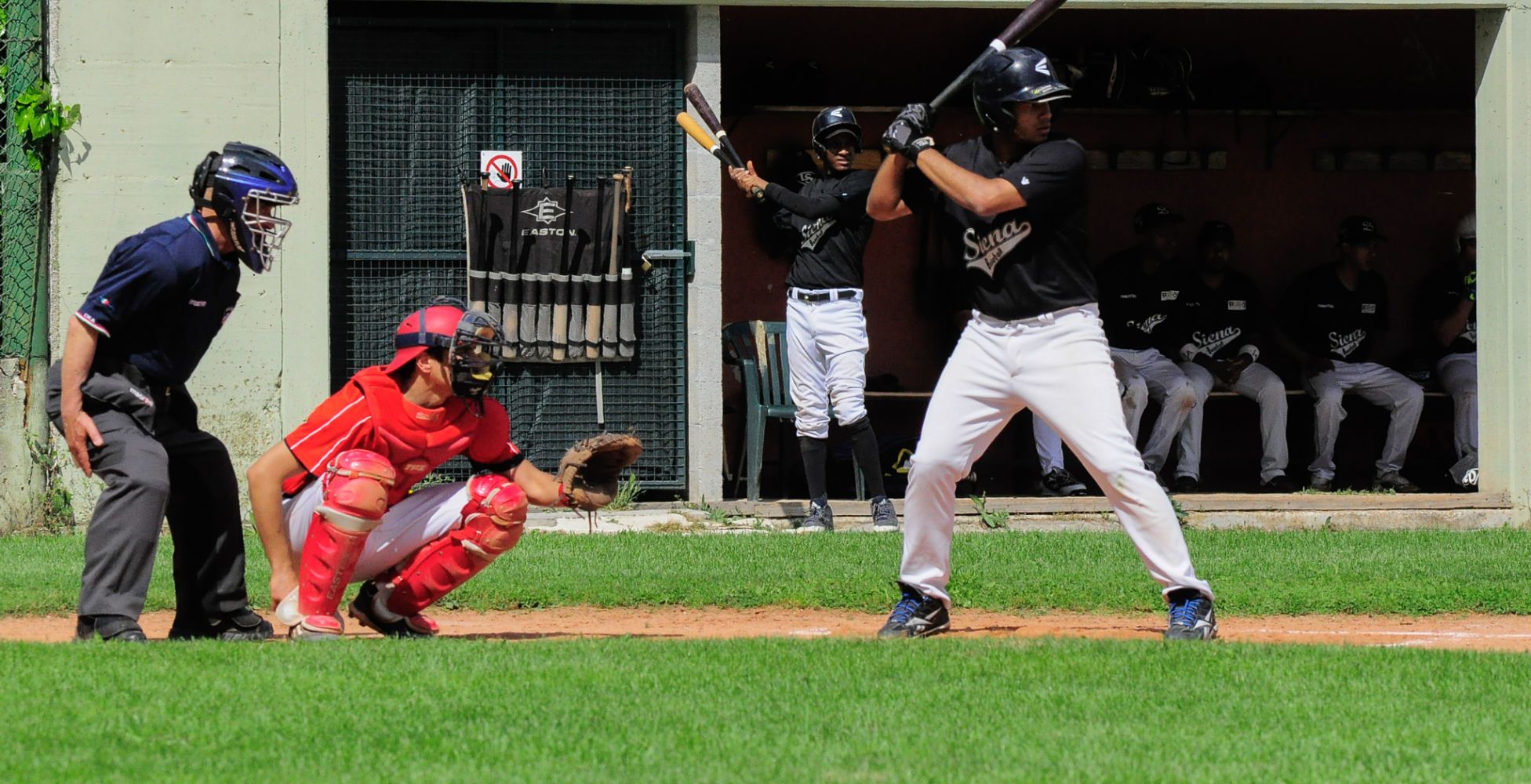 Baseball siena 15052018 01