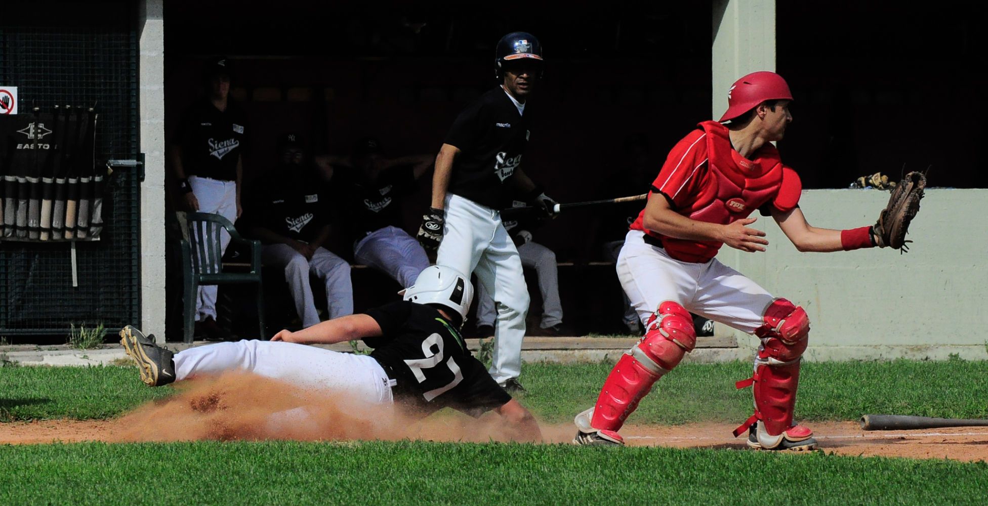 Baseball siena 15052018 03