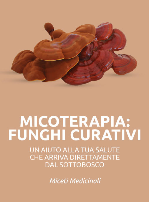 micoterapia_funghi_curativi_medicinali micoterapia funghi curativi medicinali